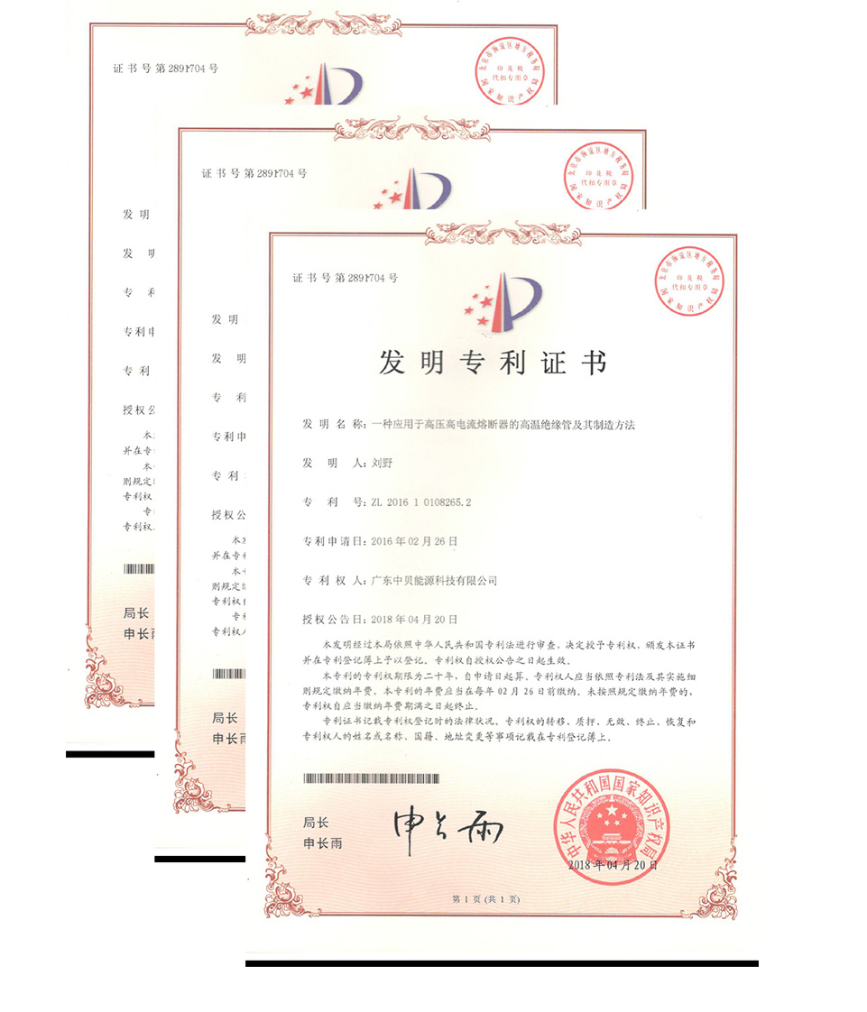 發(fā)明專利號